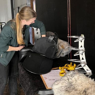 Saskia Hunder bei der professionellen Sattelanpassung im Stall – mit Messwerkzeug und Sattelbock