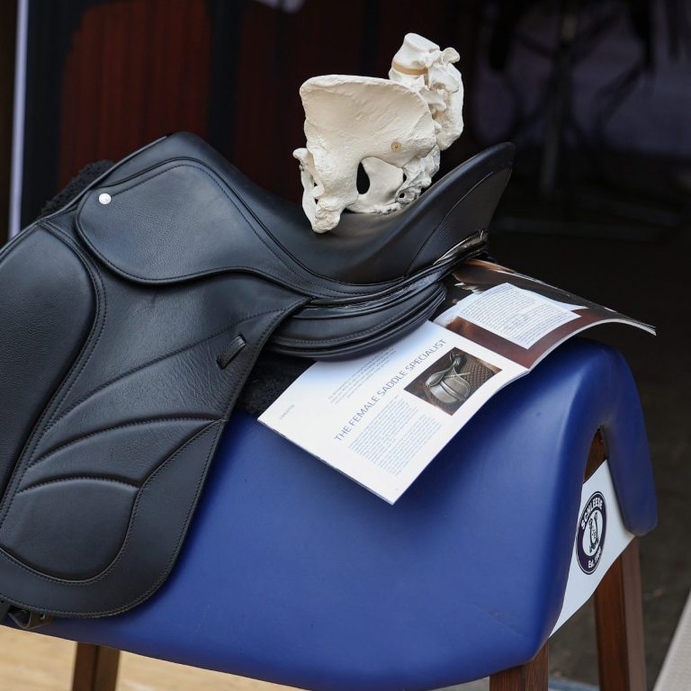 Schleese Dressursattel mit Beckenmodell und The Female Saddle Specialist Broschüre auf dem Sattelbock – weibliches Satteldesign bei Saddlefit 4 Harmony Saddle with pelvic model + brochure